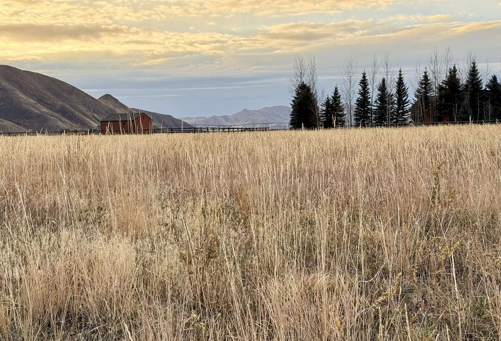 1 Acre of Residential Land for Sale in Bellevue, Idaho