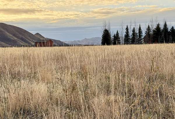 1 Acre of Residential Land for Sale in Bellevue, Idaho