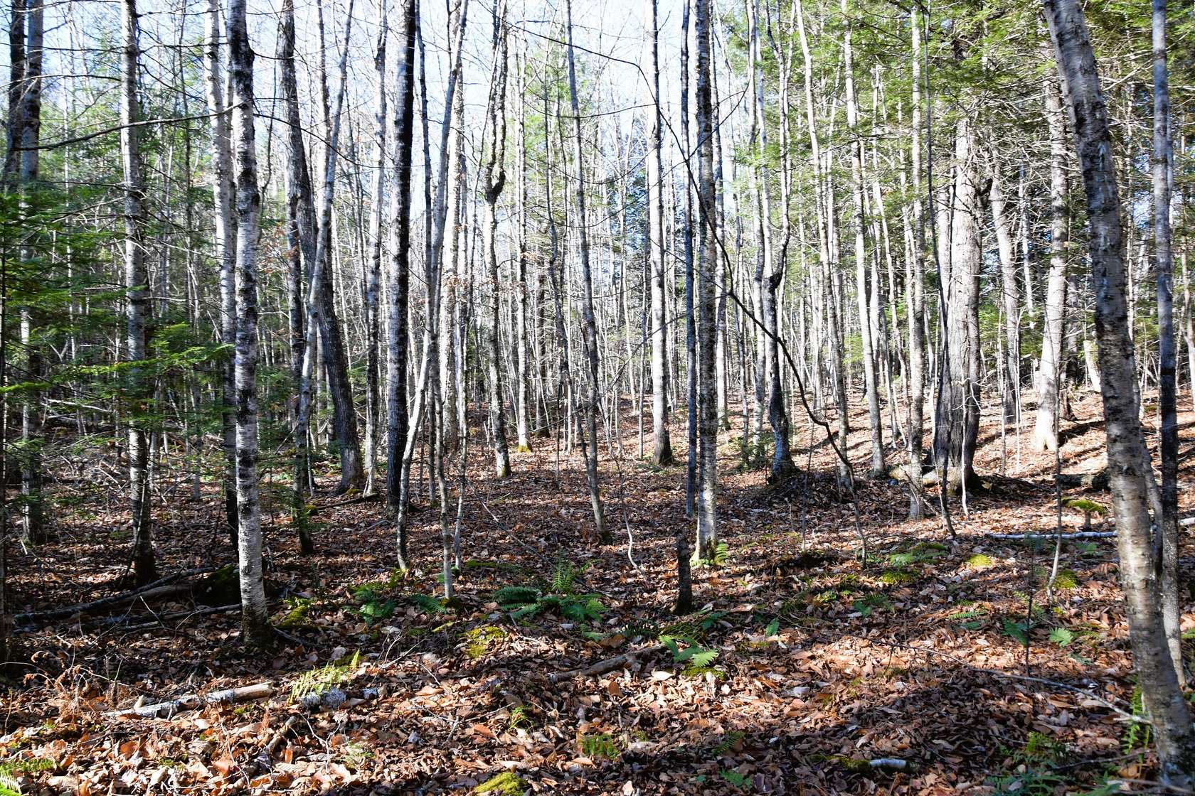 4.35 Acres of Residential Land for Sale in Embden, Maine