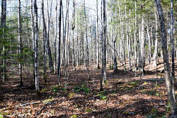 4.35 Acres of Residential Land for Sale in Embden, Maine