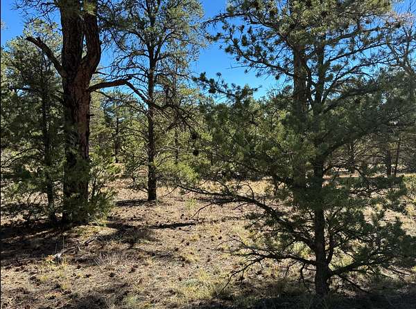 6 Acres of Land for Sale in Ramah, New Mexico