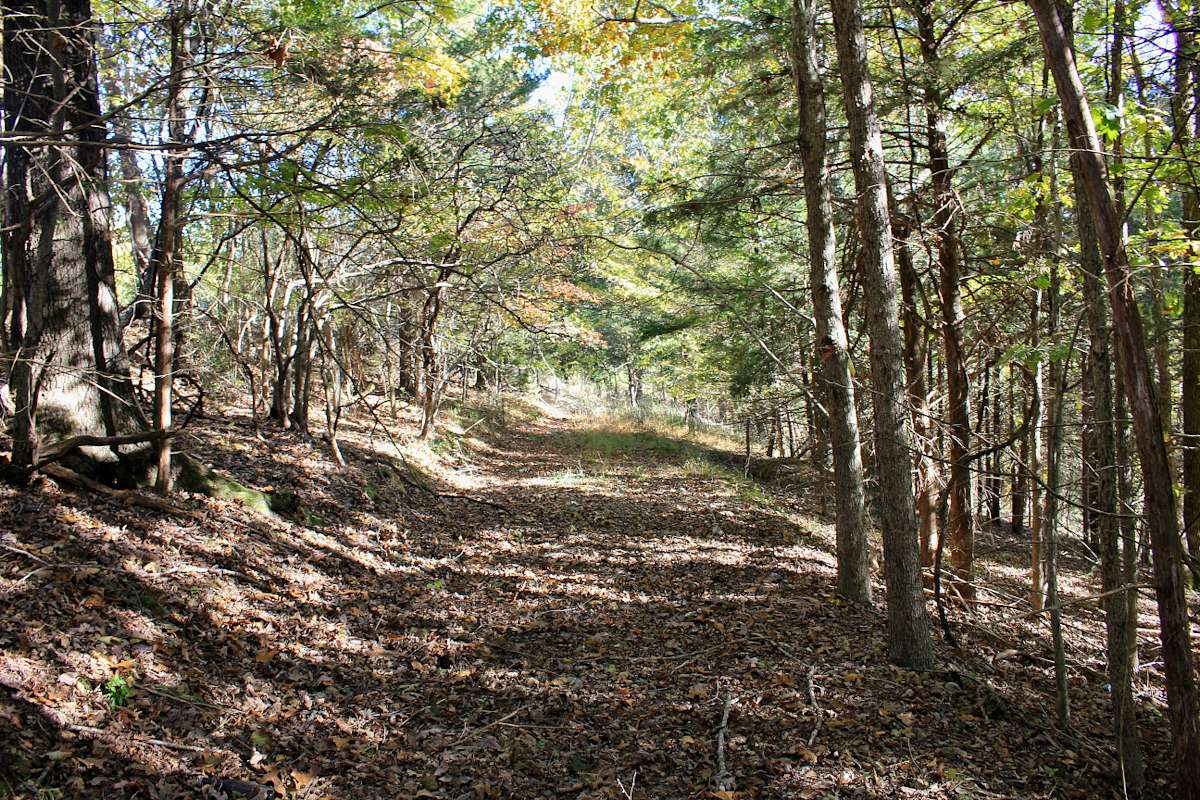 1.32 Acres of Residential Land for Sale in Eureka Springs, Arkansas