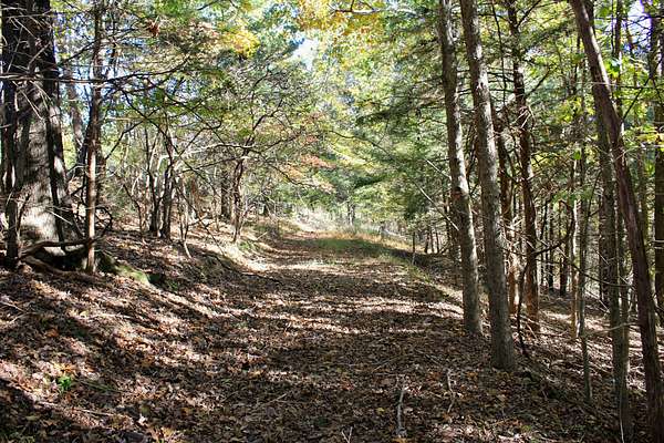 1.32 Acres of Residential Land for Sale in Eureka Springs, Arkansas
