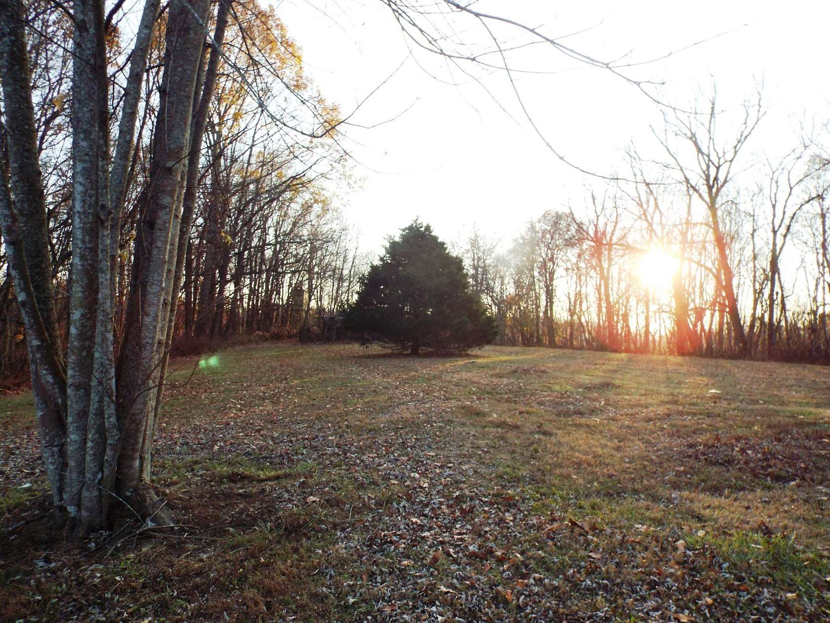 21.7 Acres of Recreational Land for Sale in Bethpage, Tennessee