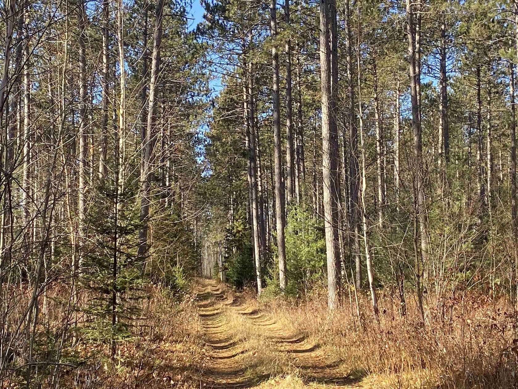 37 Acres of Recreational Land for Sale in Tomahawk, Wisconsin