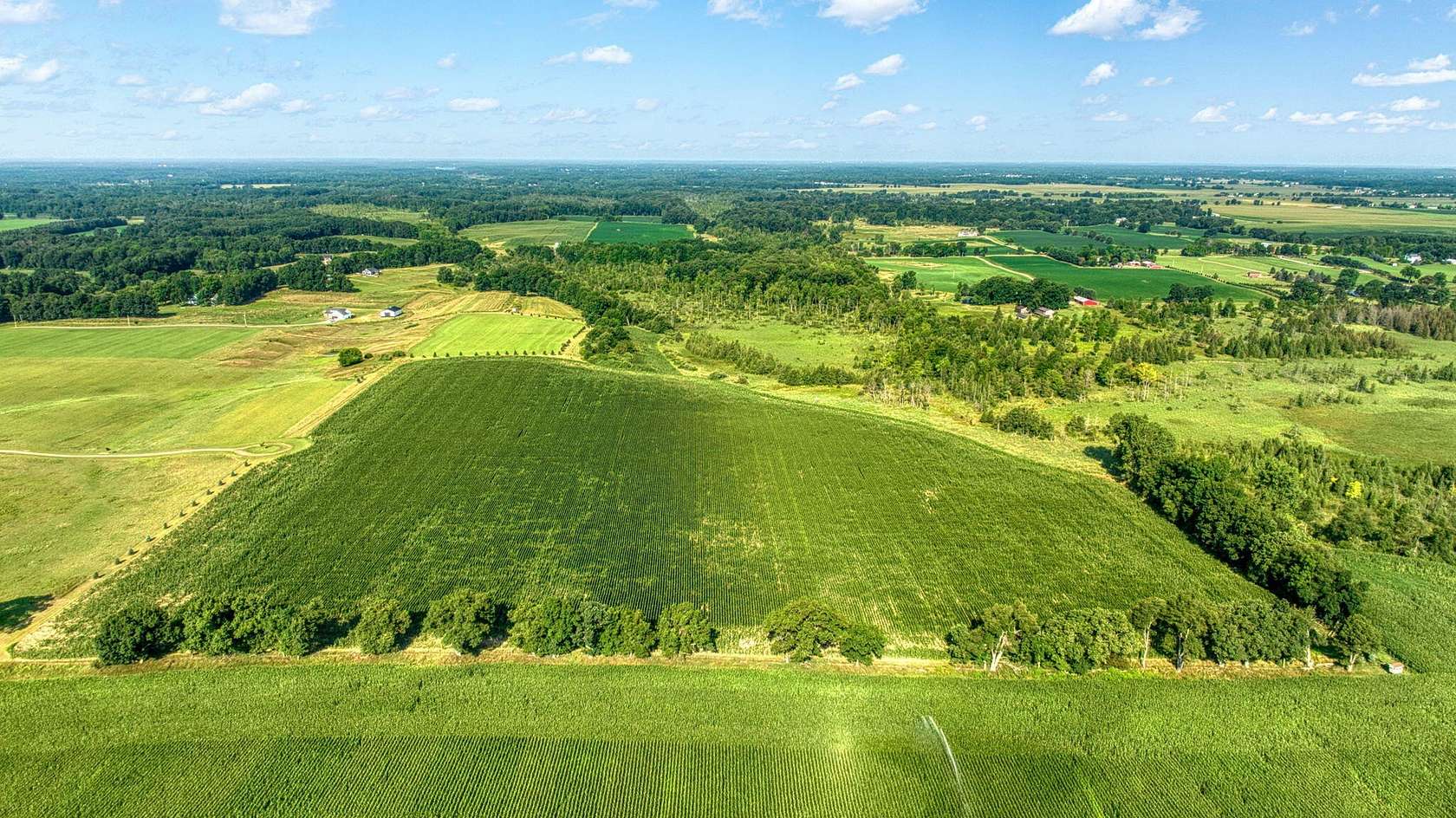 54.8 Acres of Land for Sale in Grass Lake, Michigan