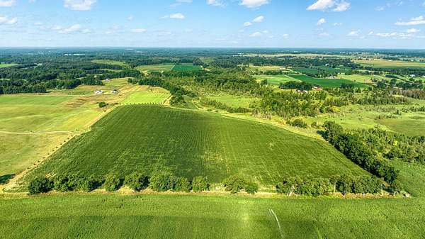 54.8 Acres of Land for Sale in Grass Lake, Michigan
