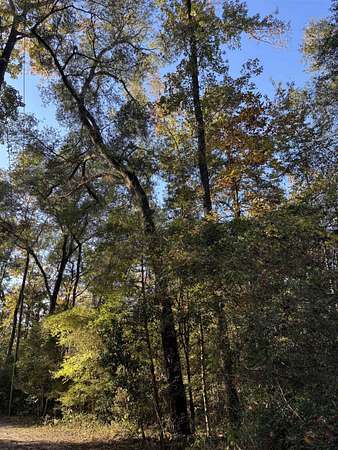 4 Acres of Land for Sale in Crawfordville, Florida