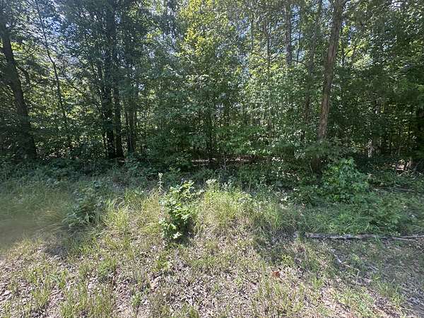 16.6 Acres of Recreational Land & Farm for Sale in Parsons, Tennessee