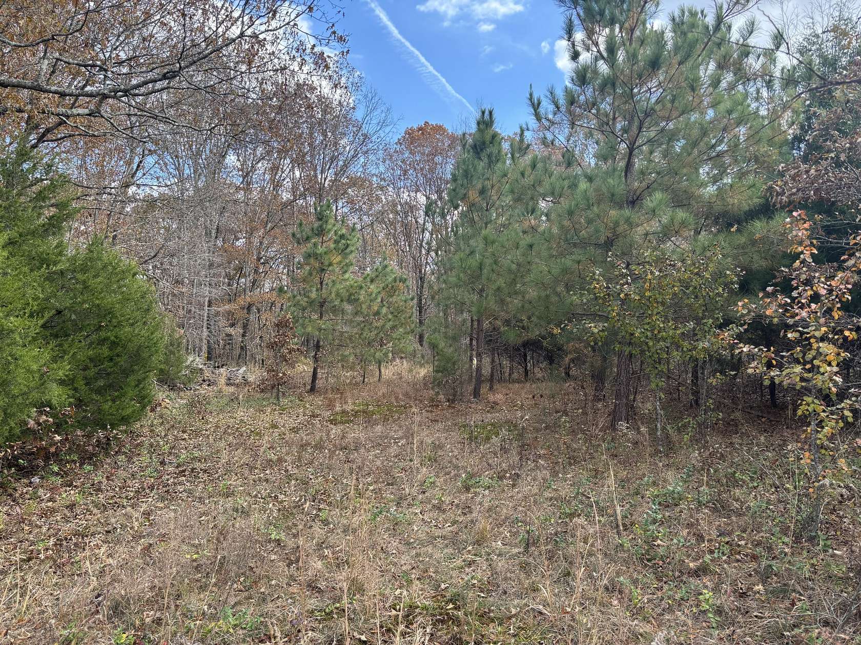 1.28 Acres of Residential Land for Sale in Hohenwald, Tennessee