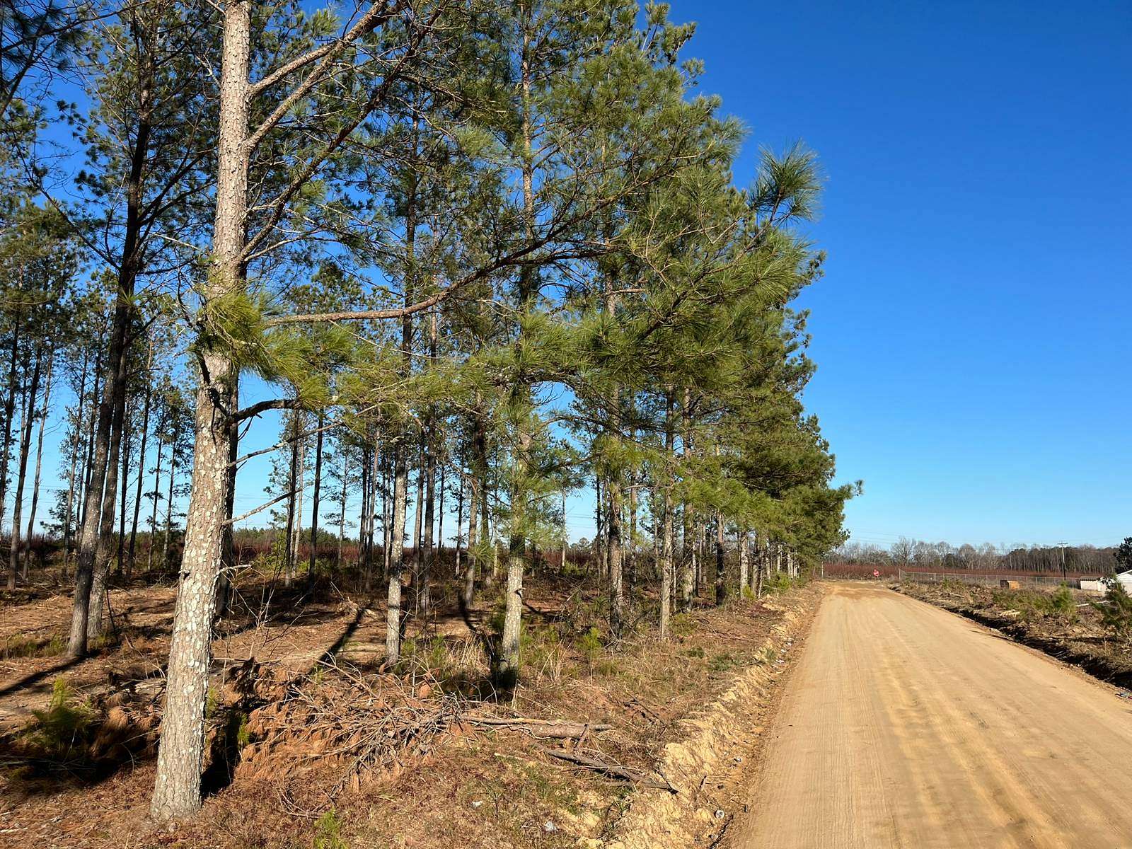 14 Acres of Recreational Land for Sale in Batesburg-Leesville, South Carolina