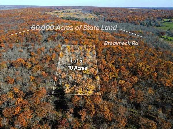 9.55 Acres of Land for Sale in Birchwood, Wisconsin