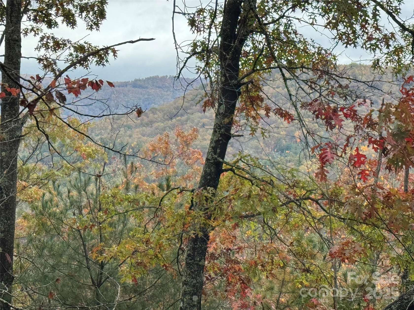 23.2 Acres of Recreational Land for Sale in Pisgah Forest, North Carolina