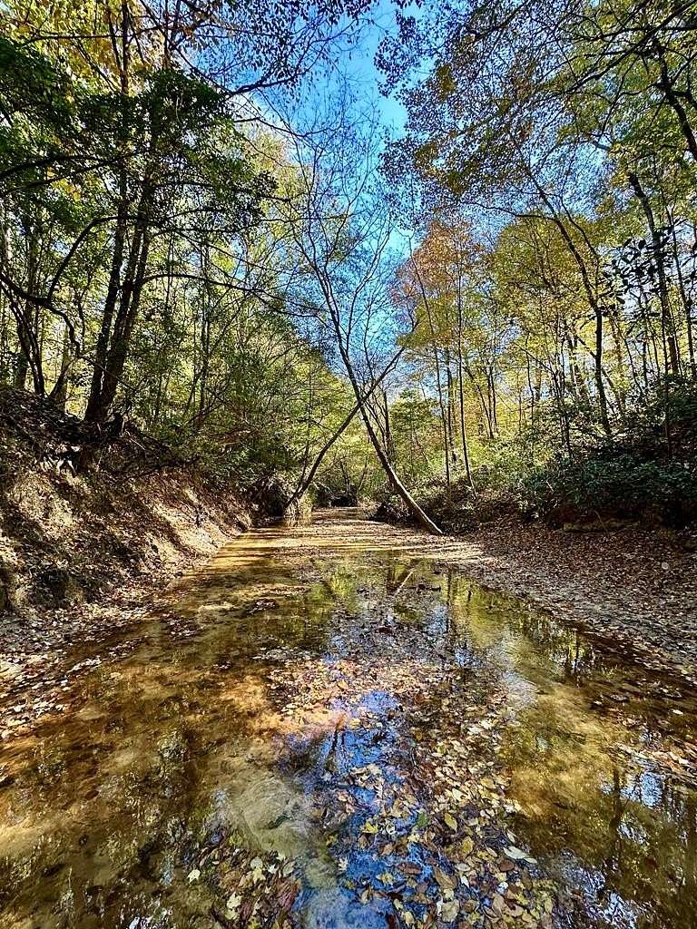 104 Acres of Recreational Land for Sale in Eufaula, Alabama