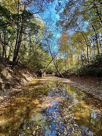 104 Acres of Recreational Land for Sale in Eufaula, Alabama