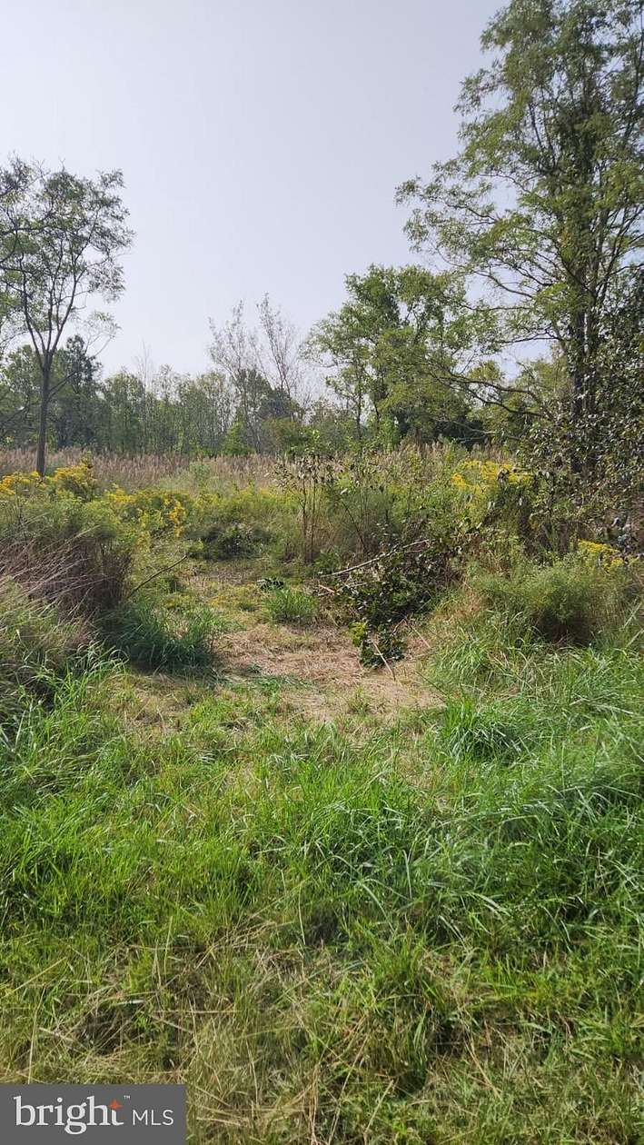 5.5 Acres of Residential Land for Sale in Deal Island, Maryland