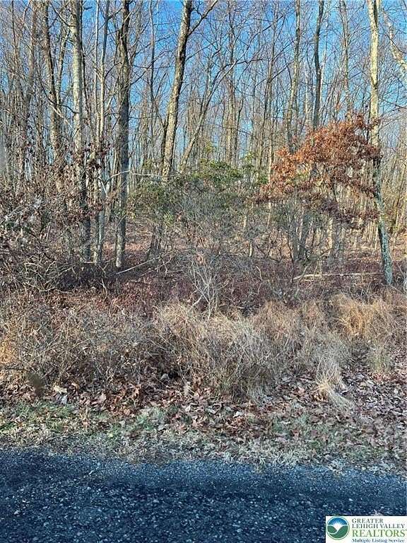 0.58 Acres of Residential Land for Sale in Penn Forest Township, Pennsylvania