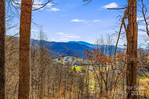 21 Acres of Land with Home for Sale in Clyde, North Carolina