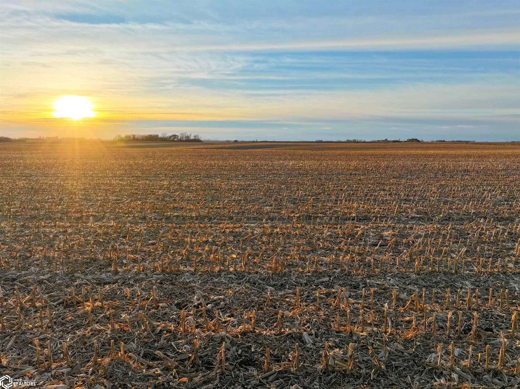 240 Acres of Agricultural Land for Auction in Clarksville, Iowa