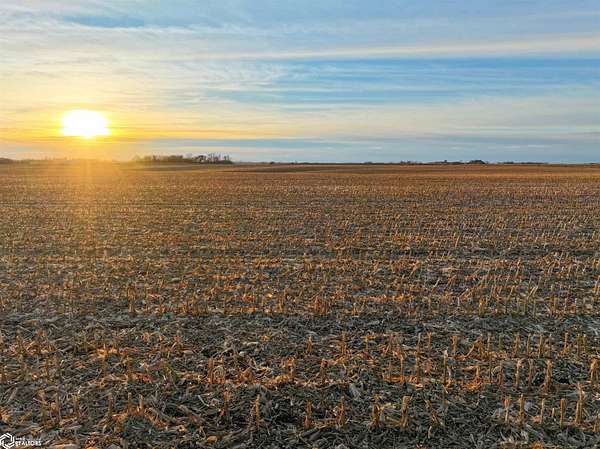 240 Acres of Agricultural Land for Auction in Clarksville, Iowa