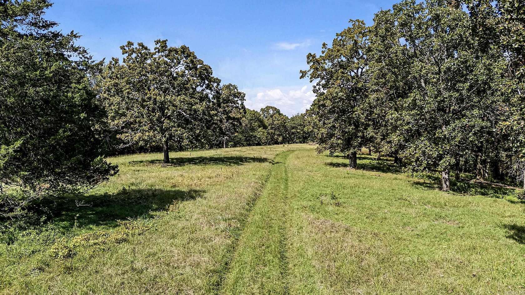 74.4 Acres of Recreational Land for Sale in Hector, Arkansas