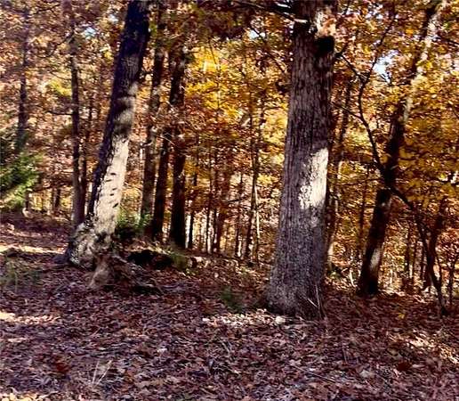 0.27 Acres of Land for Sale in Bella Vista, Arkansas