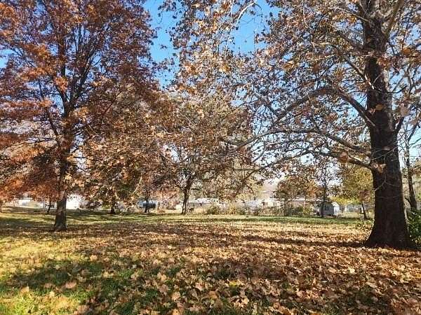 1.2 Acres of Residential Land for Sale in Odessa, Missouri