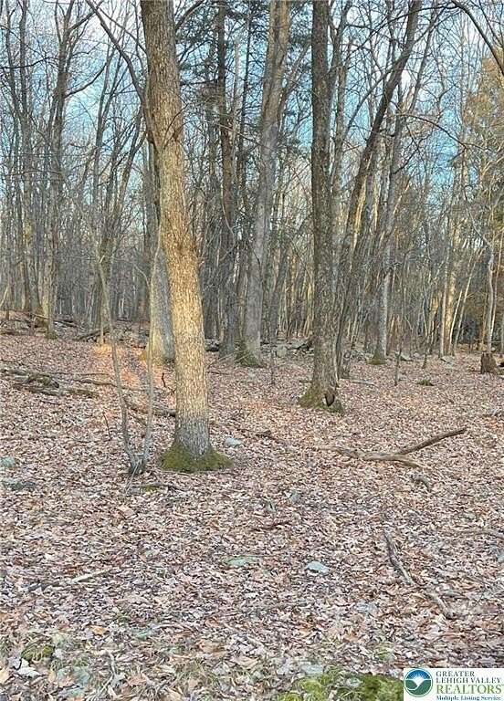 0.49 Acres of Residential Land for Sale in Penn Forest Township, Pennsylvania
