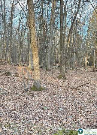 0.49 Acres of Residential Land for Sale in Penn Forest Township, Pennsylvania