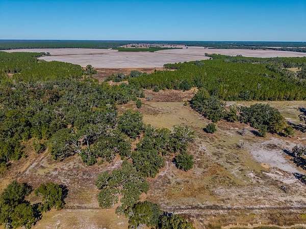 15 Acres of Recreational Land & Farm for Sale in Cross City, Florida