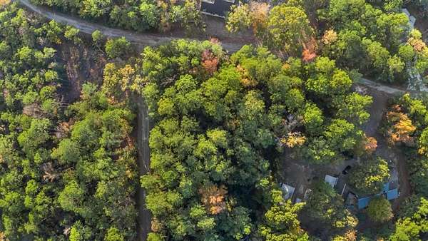 0.56 Acres of Residential Land for Sale in Brookeland, Texas