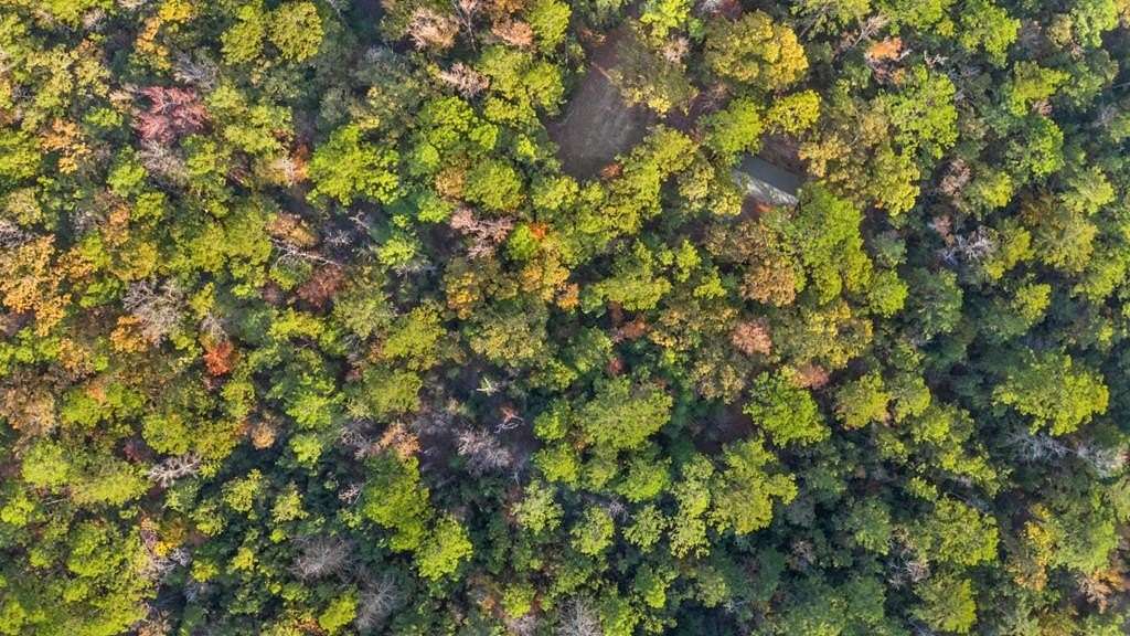 0.57 Acres of Residential Land for Sale in Brookeland, Texas