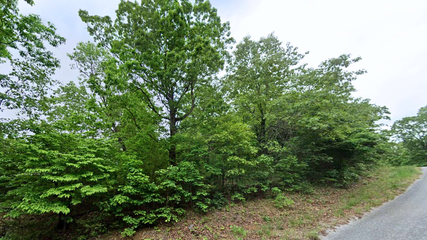 0.37 Acres of Residential Land for Sale in Horseshoe Bend, Arkansas