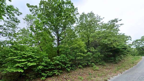 0.37 Acres of Residential Land for Sale in Horseshoe Bend, Arkansas