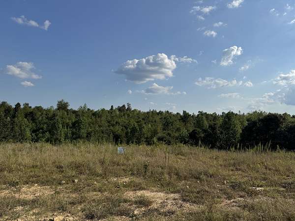 3.55 Acres of Residential Land for Sale in Lobelville, Tennessee
