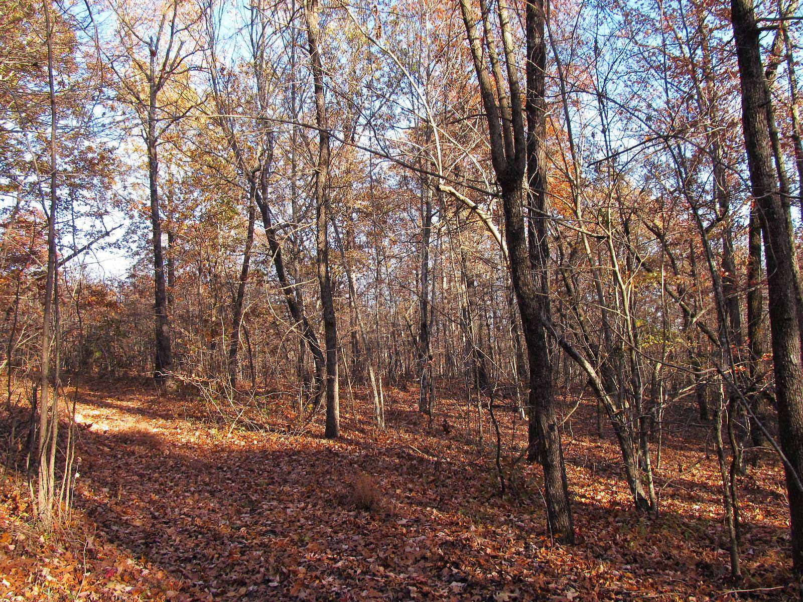 30 Acres of Recreational Land for Sale in Red Star, Arkansas