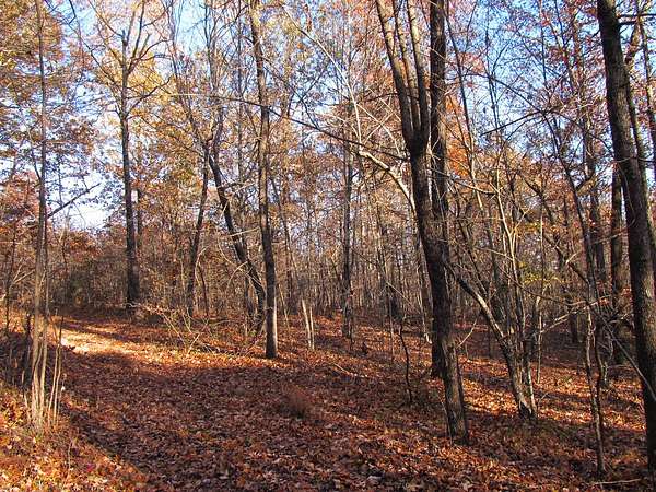 30 Acres of Recreational Land for Sale in Red Star, Arkansas