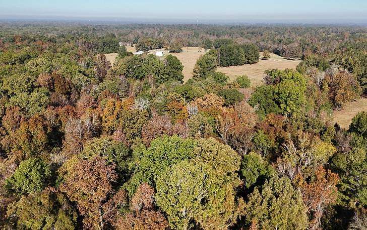 36 Acres of Agricultural Land for Sale in Montgomery, Alabama