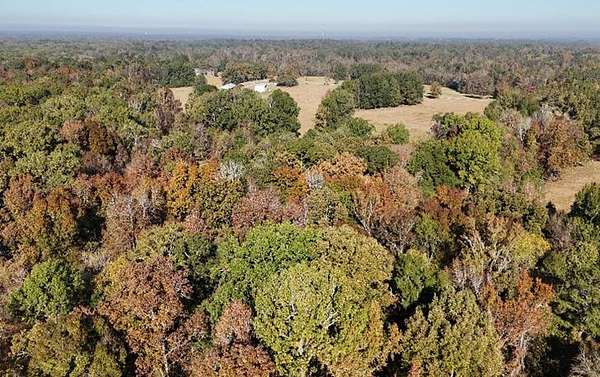 36 Acres of Agricultural Land for Sale in Montgomery, Alabama