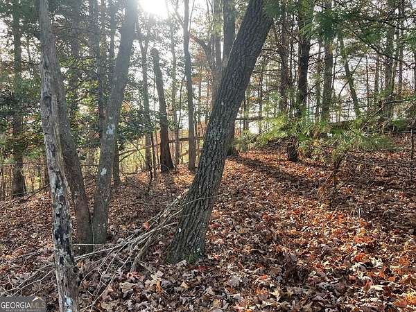 0.39 Acres of Land for Sale in Ellijay, Georgia