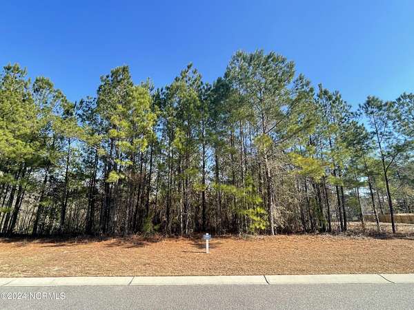 0.35 Acres of Residential Land for Sale in Leland, North Carolina