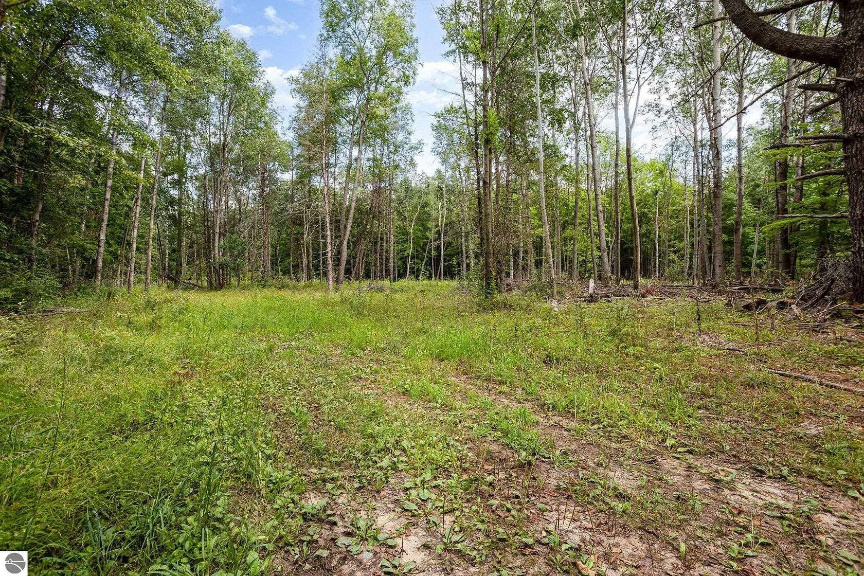 30.4 Acres of Recreational Land for Sale in Crystal, Michigan
