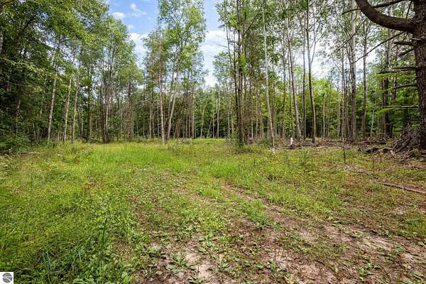 30.4 Acres of Recreational Land for Sale in Crystal, Michigan