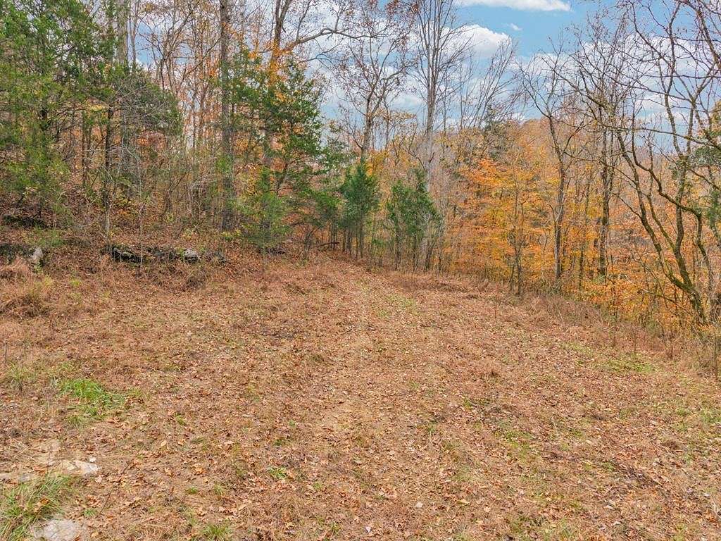 73.5 Acres of Land for Sale in Buffalo Valley, Tennessee
