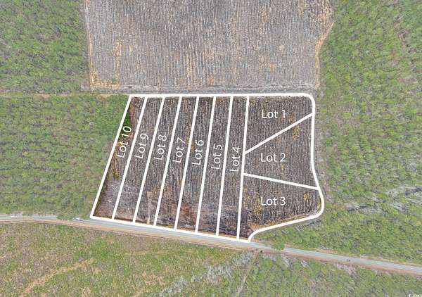 5 Acres of Residential Land for Sale in Galivants Ferry, South Carolina