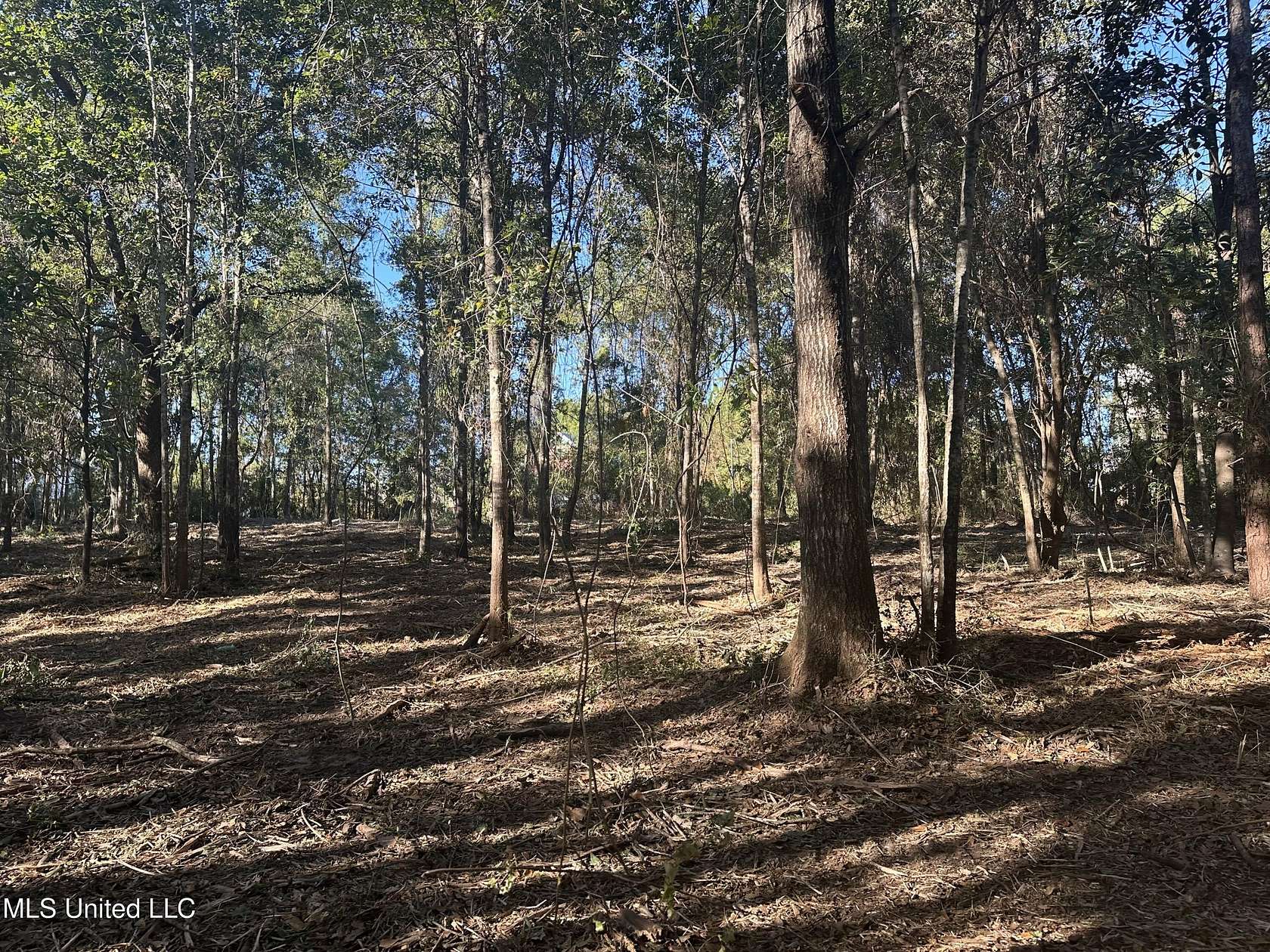 3.4 Acres of Land for Sale in Waveland, Mississippi