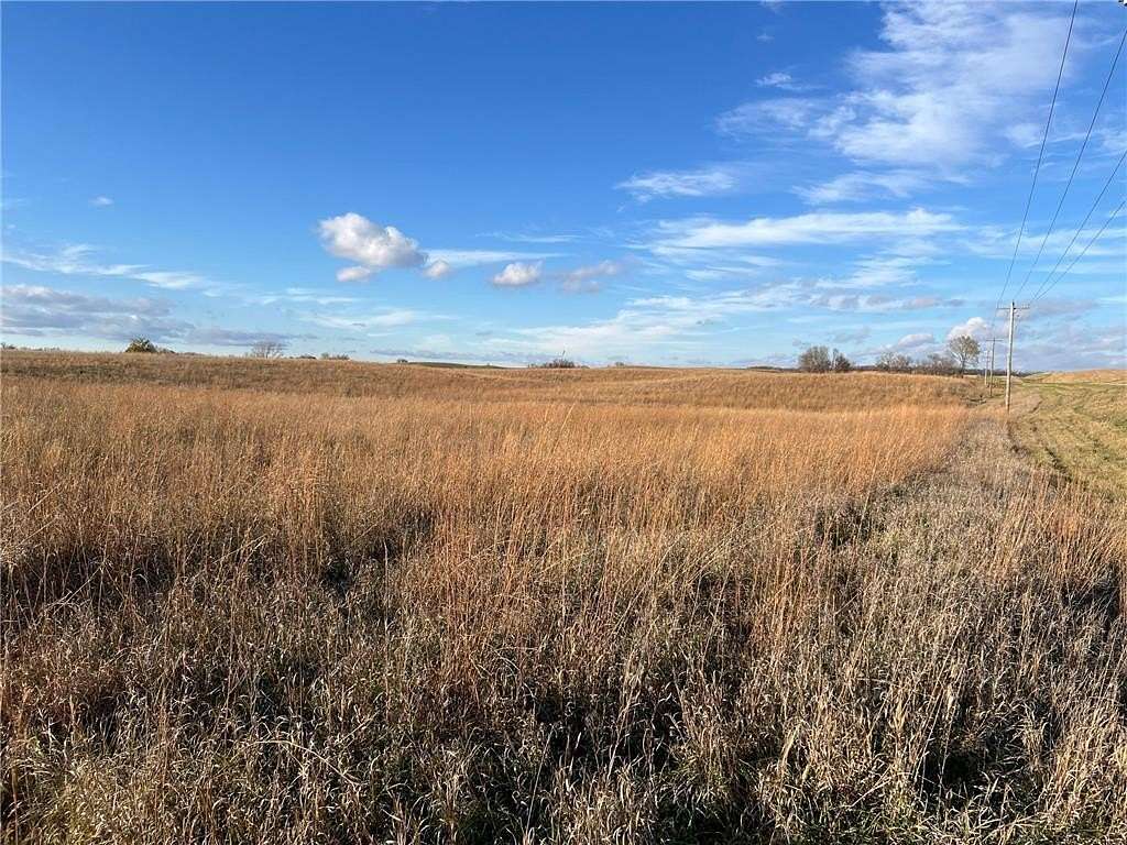 80 Acres of Agricultural Land for Auction in Benson, Minnesota