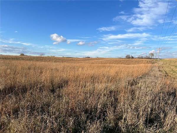 80 Acres of Agricultural Land for Auction in Benson, Minnesota