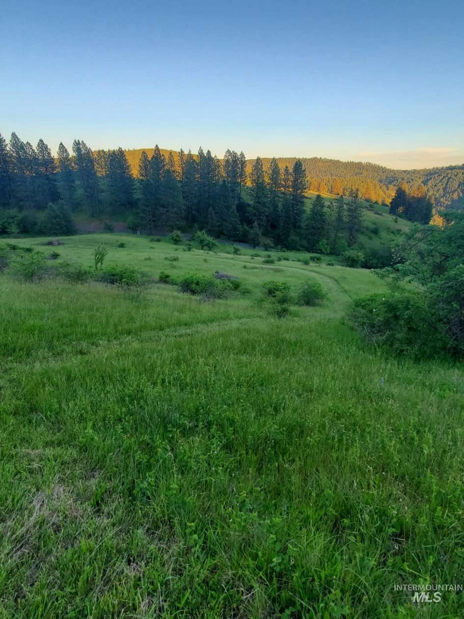13.5 Acres of Land for Sale in Orofino, Idaho