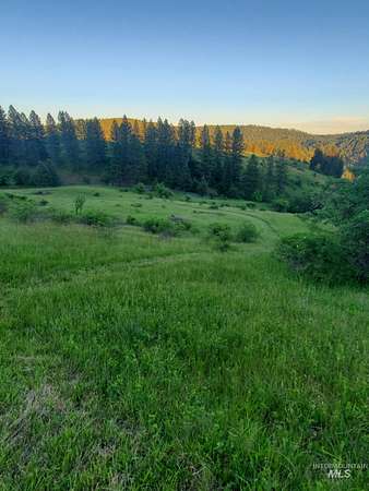 19.2 Acres of Land for Sale in Orofino, Idaho